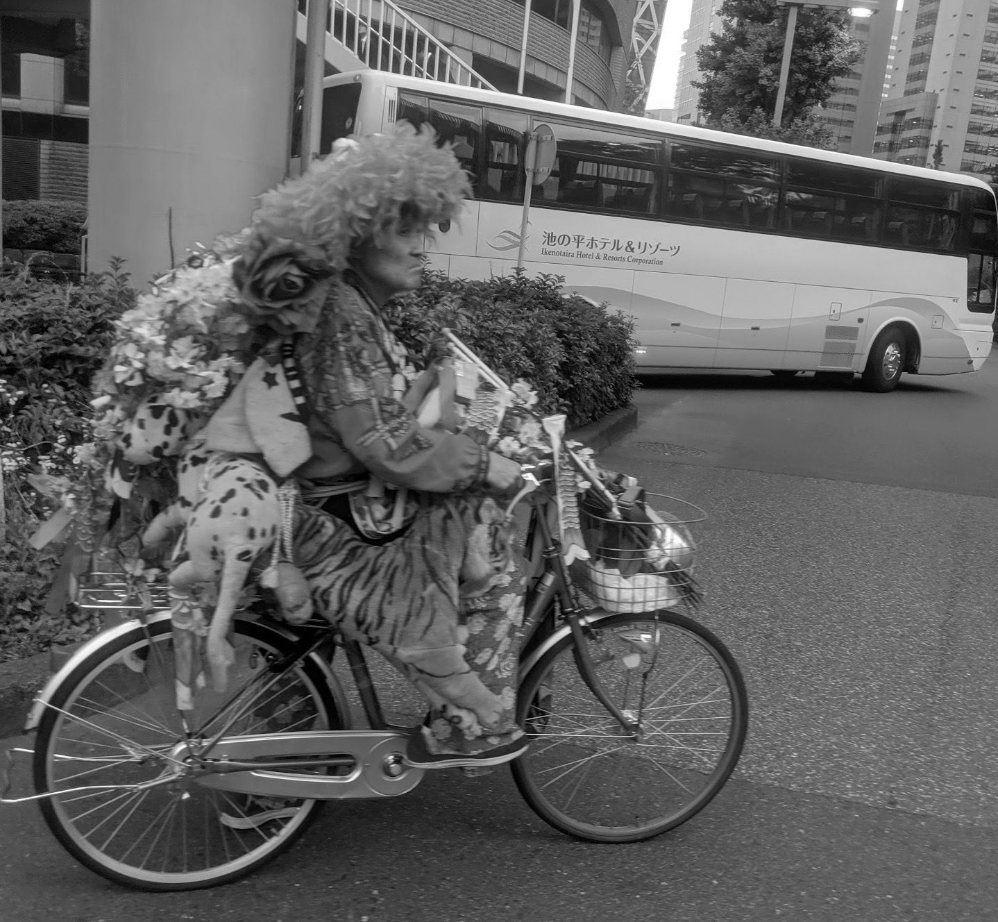 Fukuoka – Tokyo bike ride