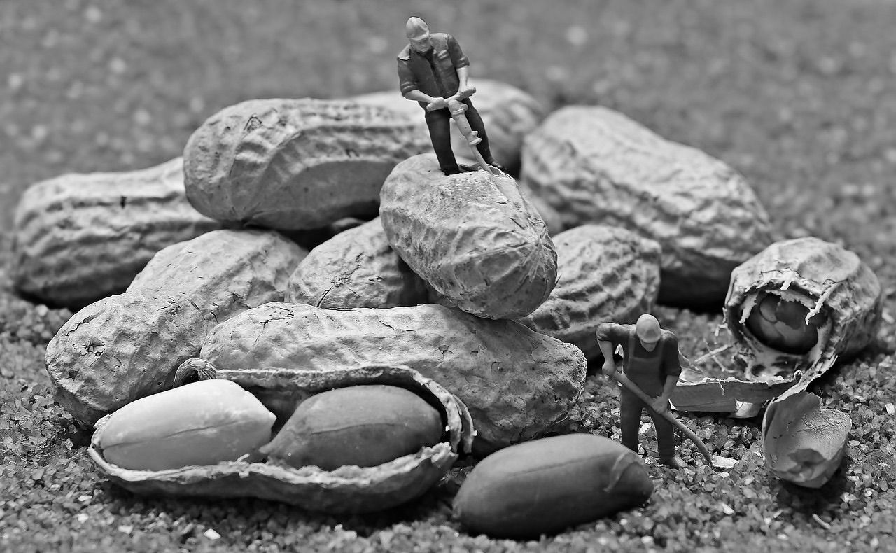 Hosting your blog for peanuts