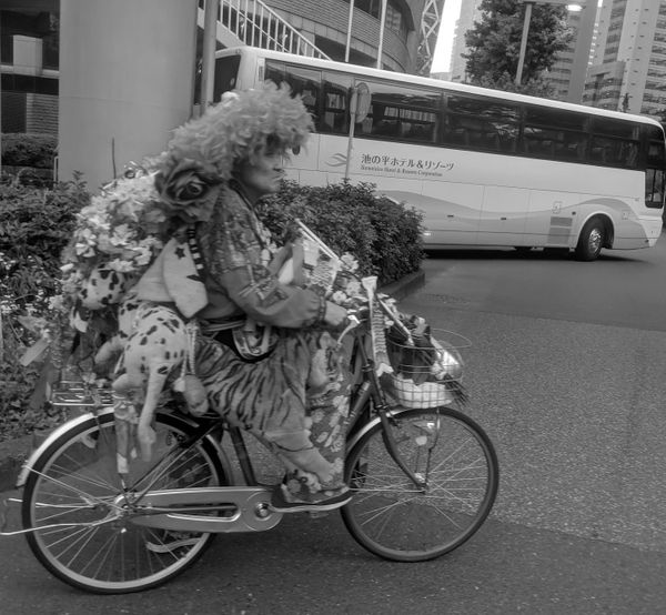 Fukuoka – Tokyo bike ride